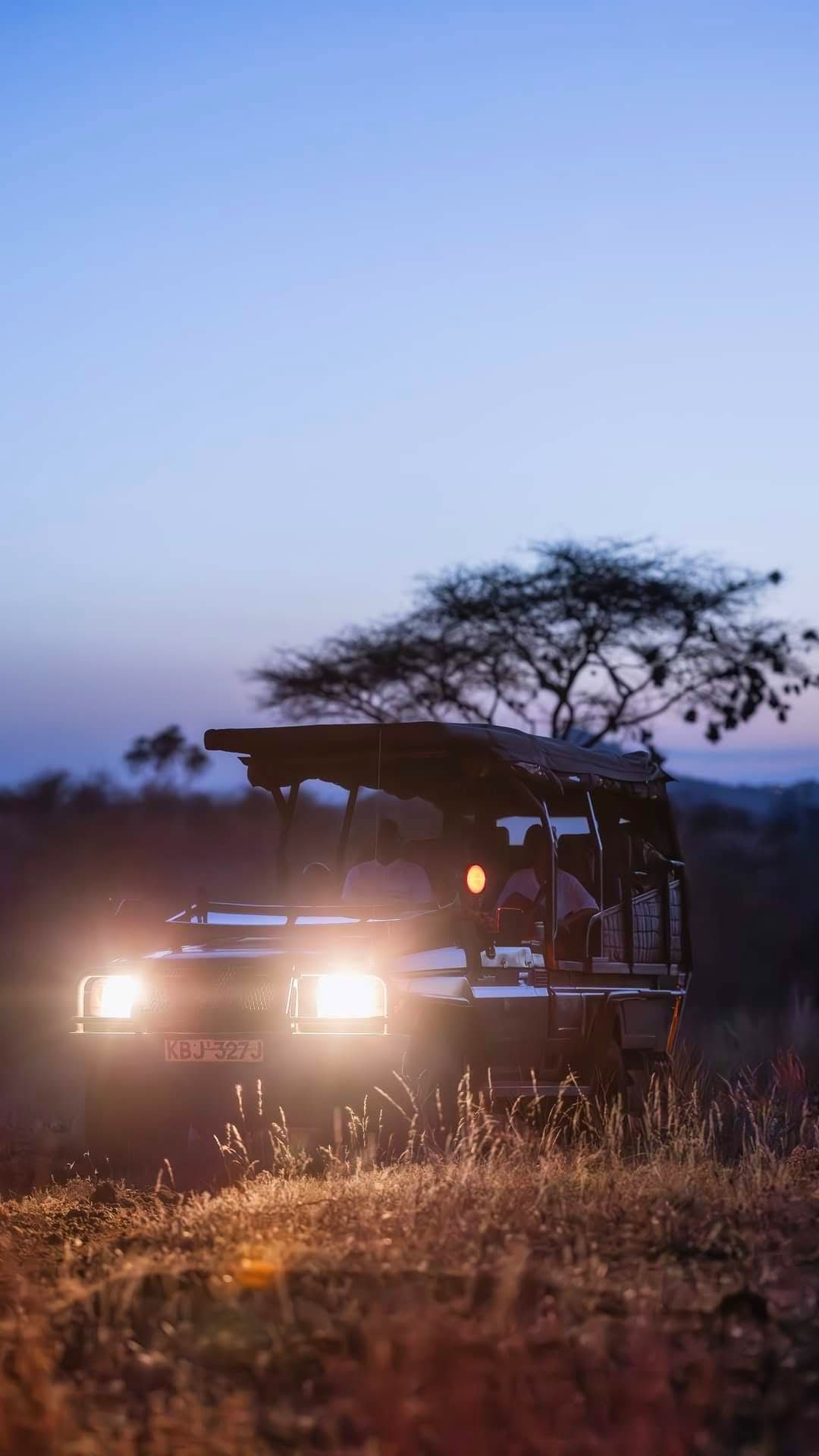 Night Game Drives — A Nocturnal Safari Adventure
