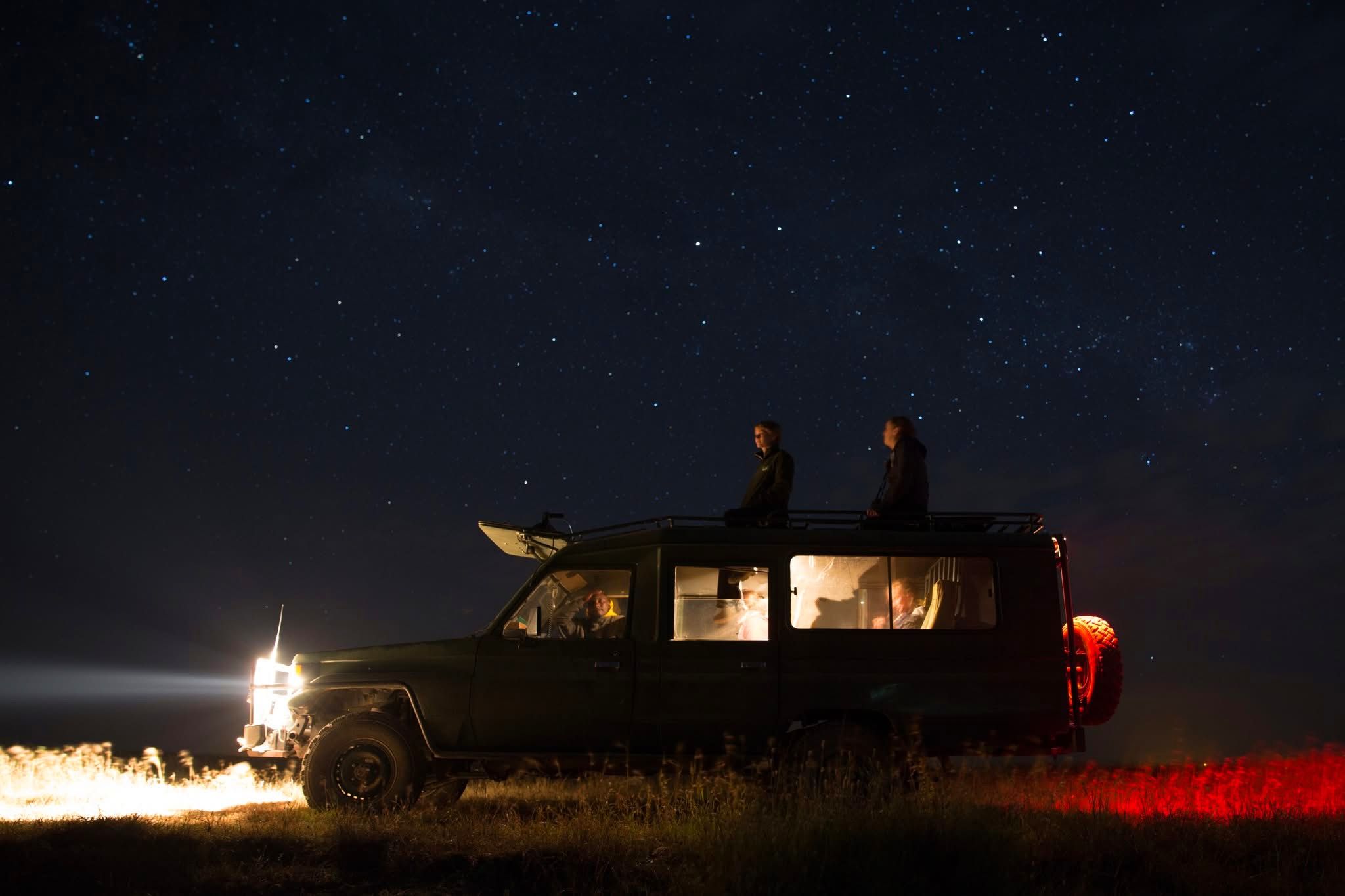 Night Game Drives — A Nocturnal Safari Adventure