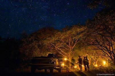 Night Game Drives — A Nocturnal Safari Adventure