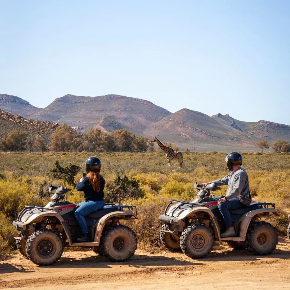 Quad Biking Safaris — An Off-Road Adventure into the Wild