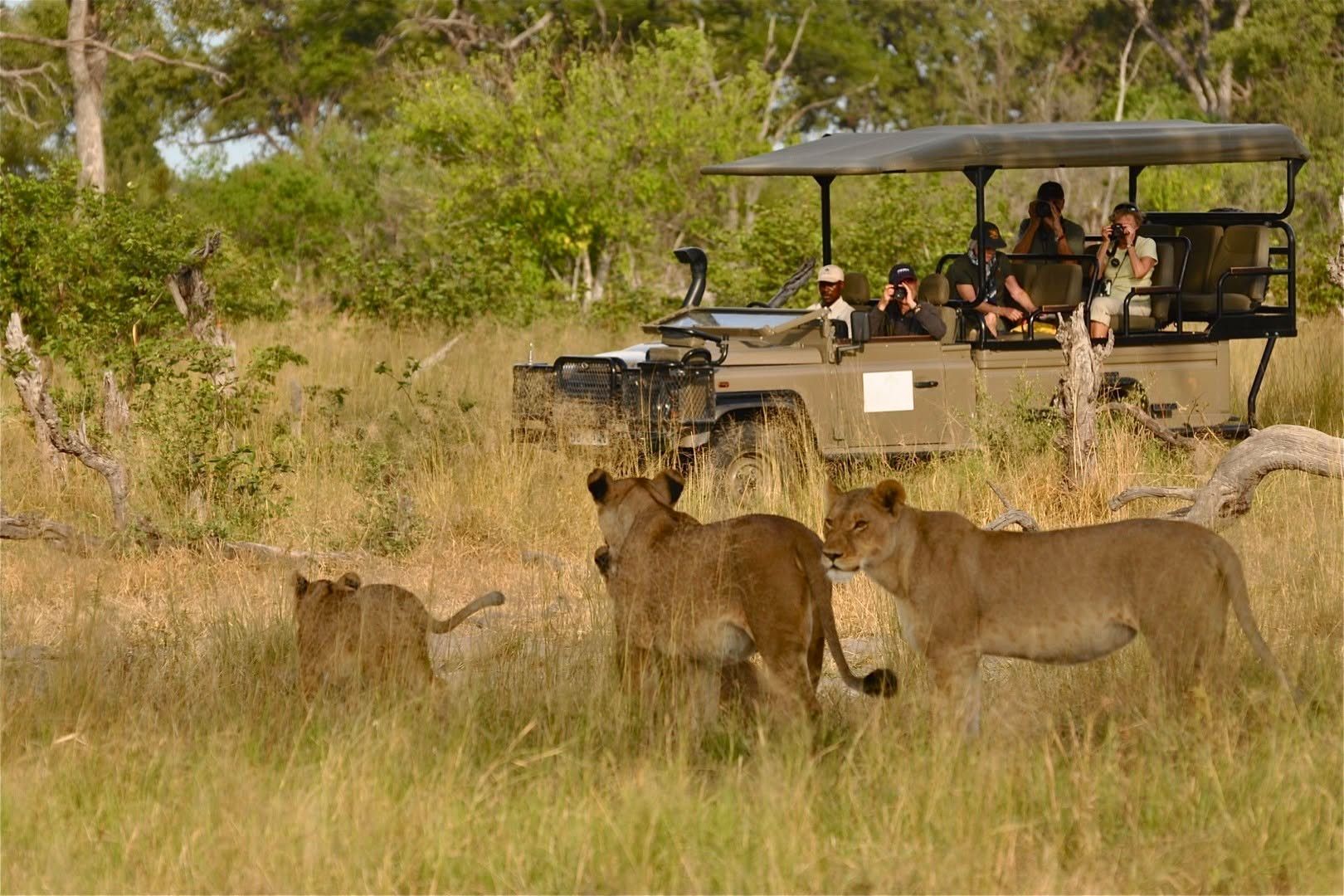 Game drives