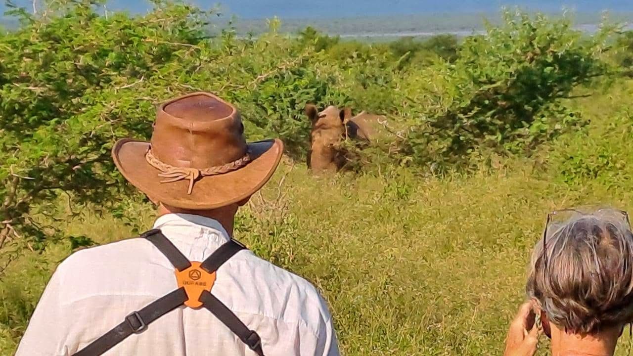 Rhino Tracking — A Conservation Safari Adventure