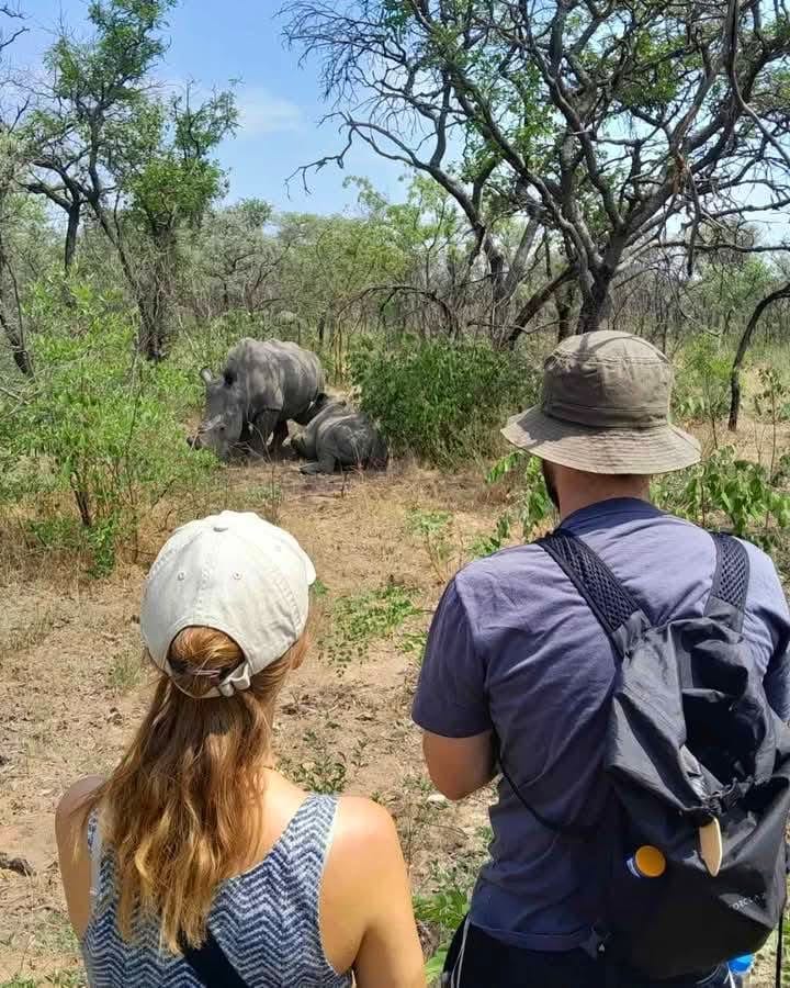 Rhino Tracking — A Conservation Safari Adventure