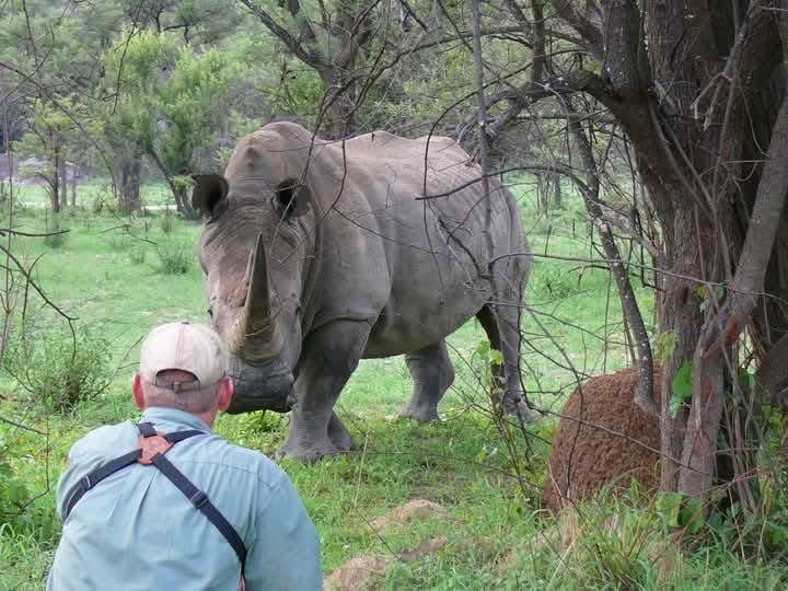 Rhino Tracking — A Conservation Safari Adventure