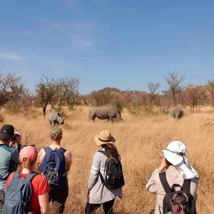 Rhino Tracking — A Conservation Safari Adventure