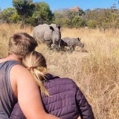 Rhino Tracking — A Conservation Safari Adventure