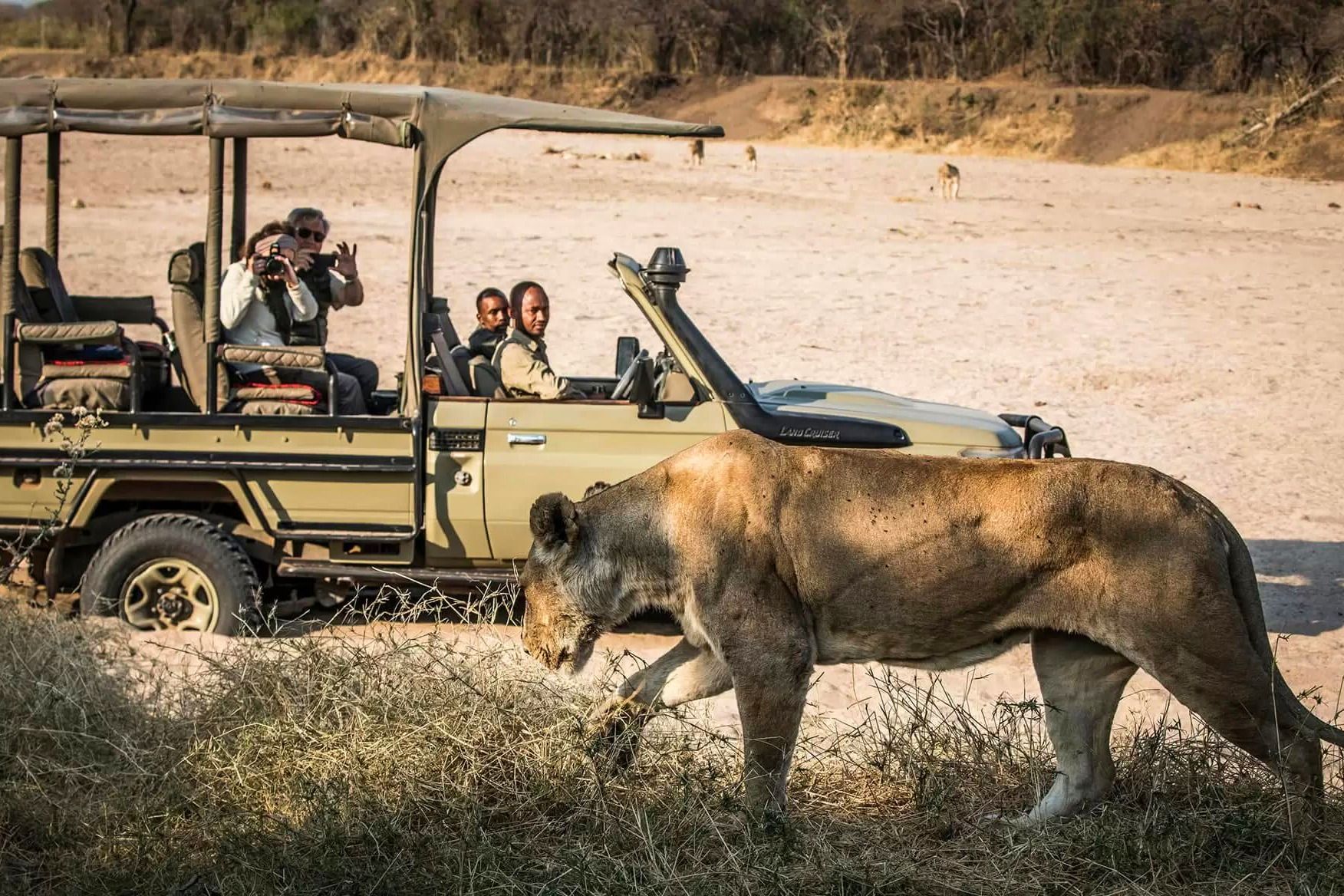 Game drives