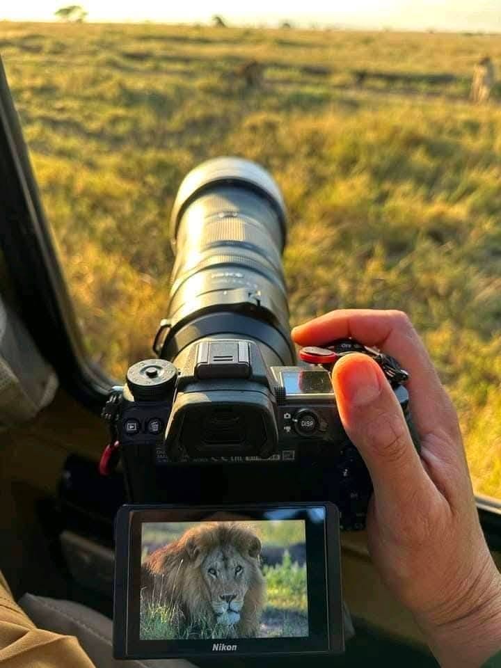 Photography safaris