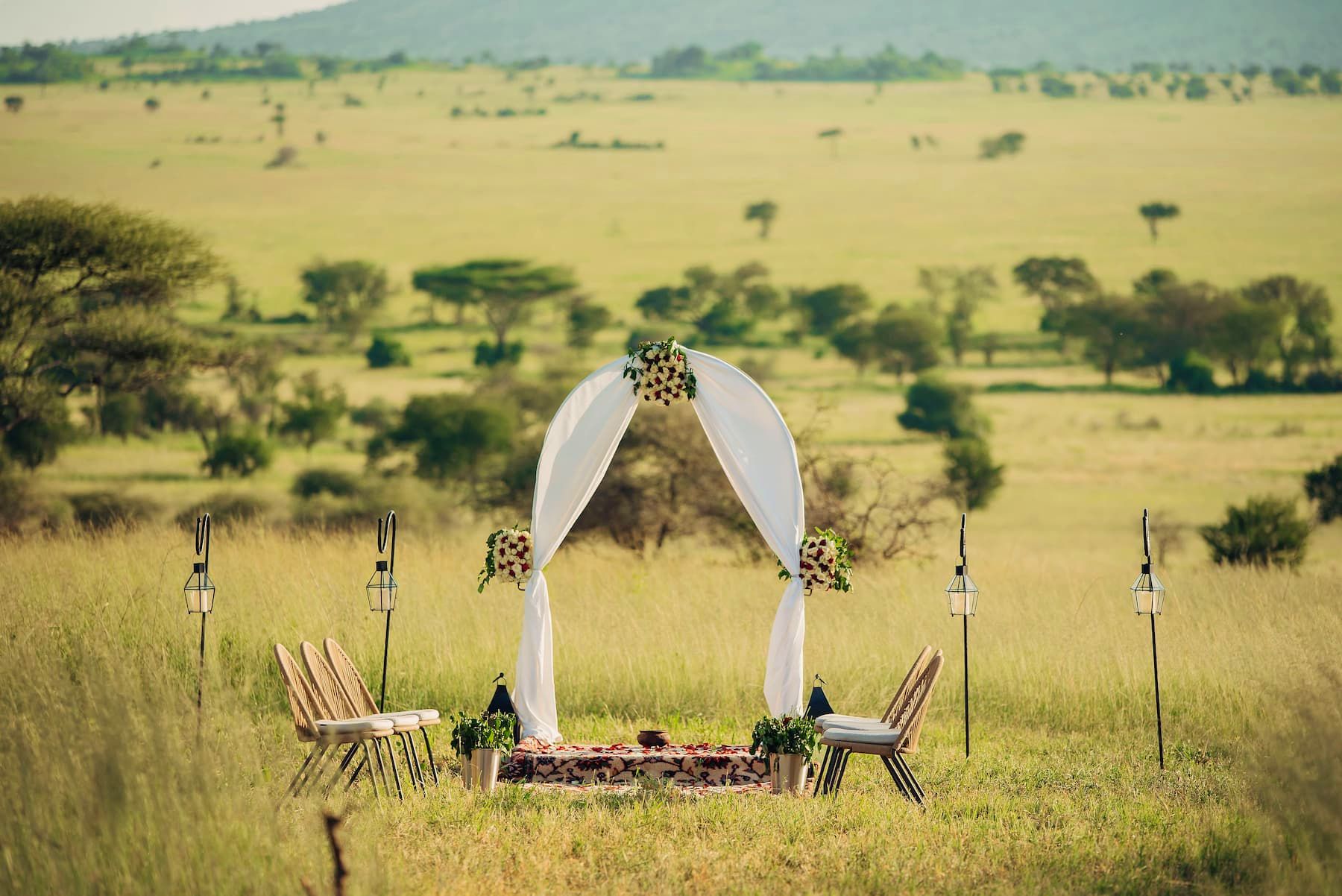Safari Weddings — A Magical Union in the Wild