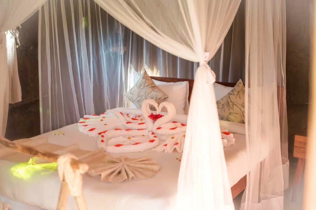 Safari Weddings — A Magical Union in the Wild