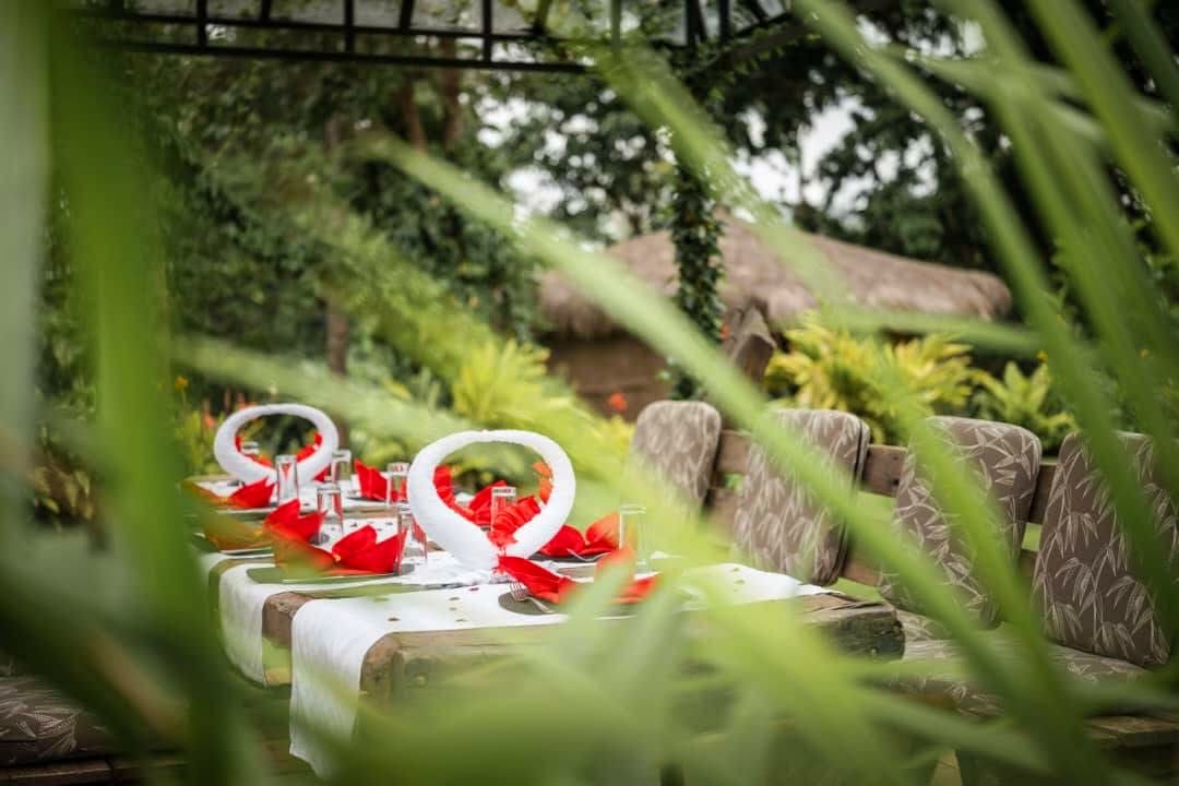 Safari Weddings — A Magical Union in the Wild