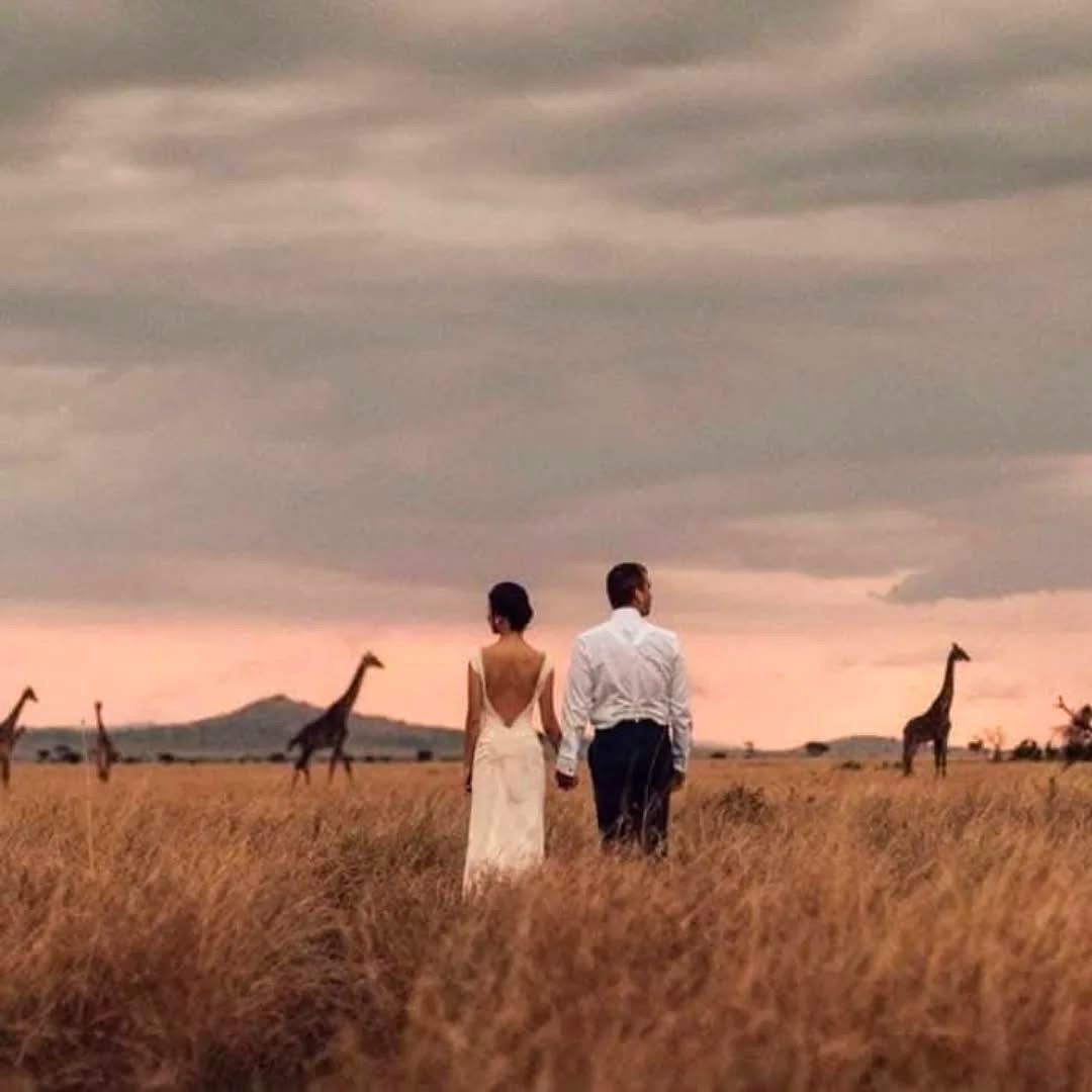 Safari Weddings — A Magical Union in the Wild