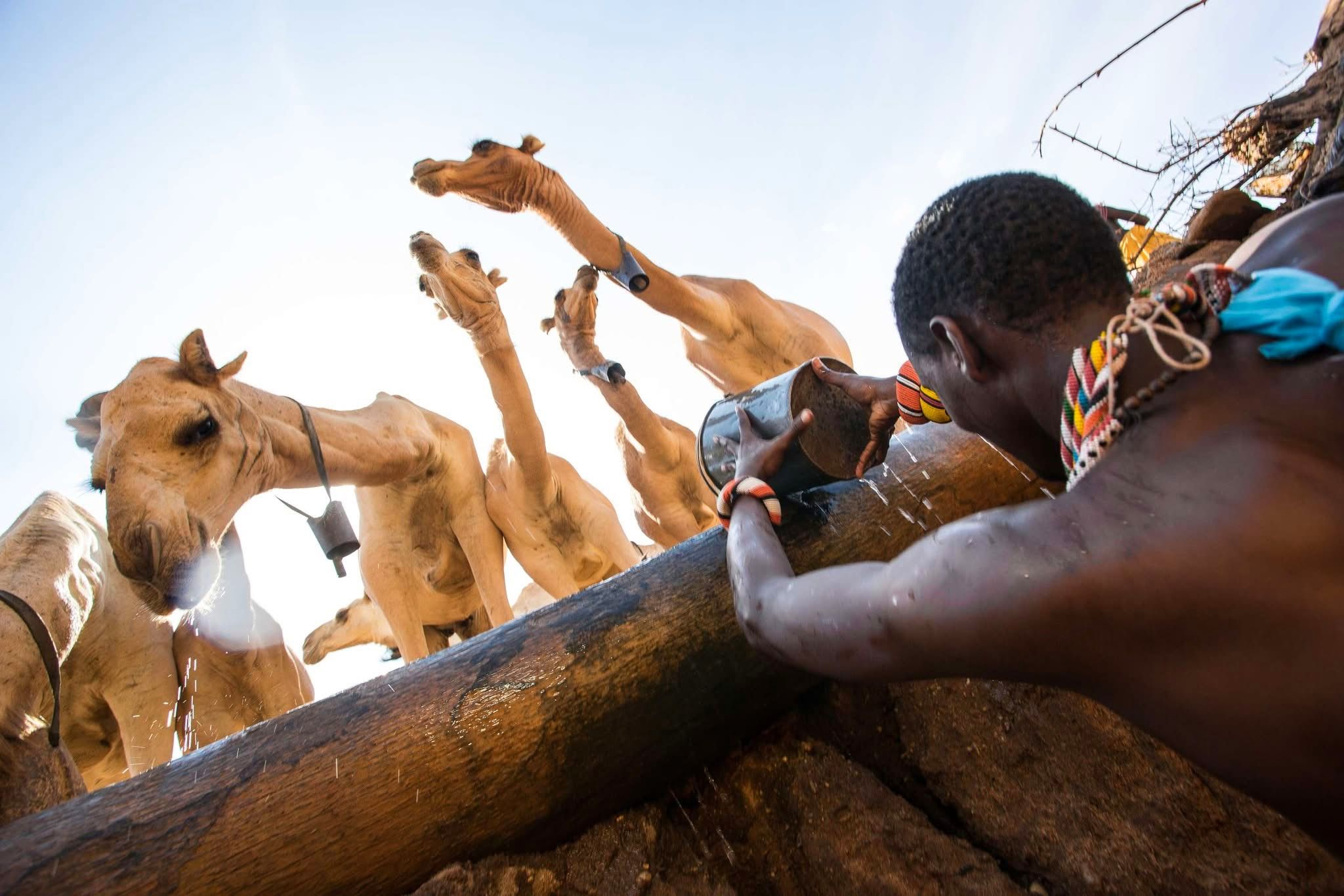 The Samburu Singing Wells — A Timeless Cultural Safari Experience