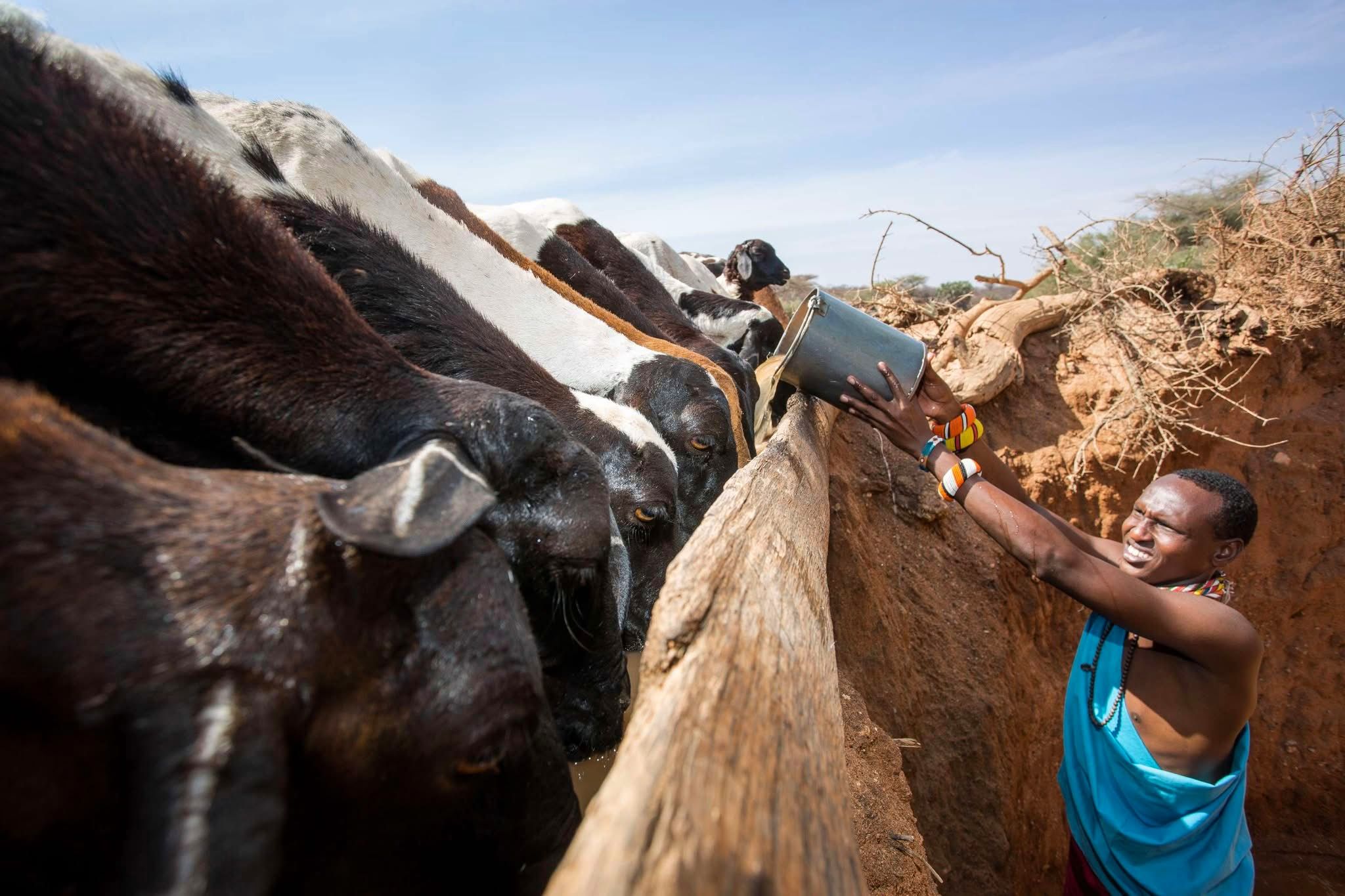 The Samburu Singing Wells — A Timeless Cultural Safari Experience