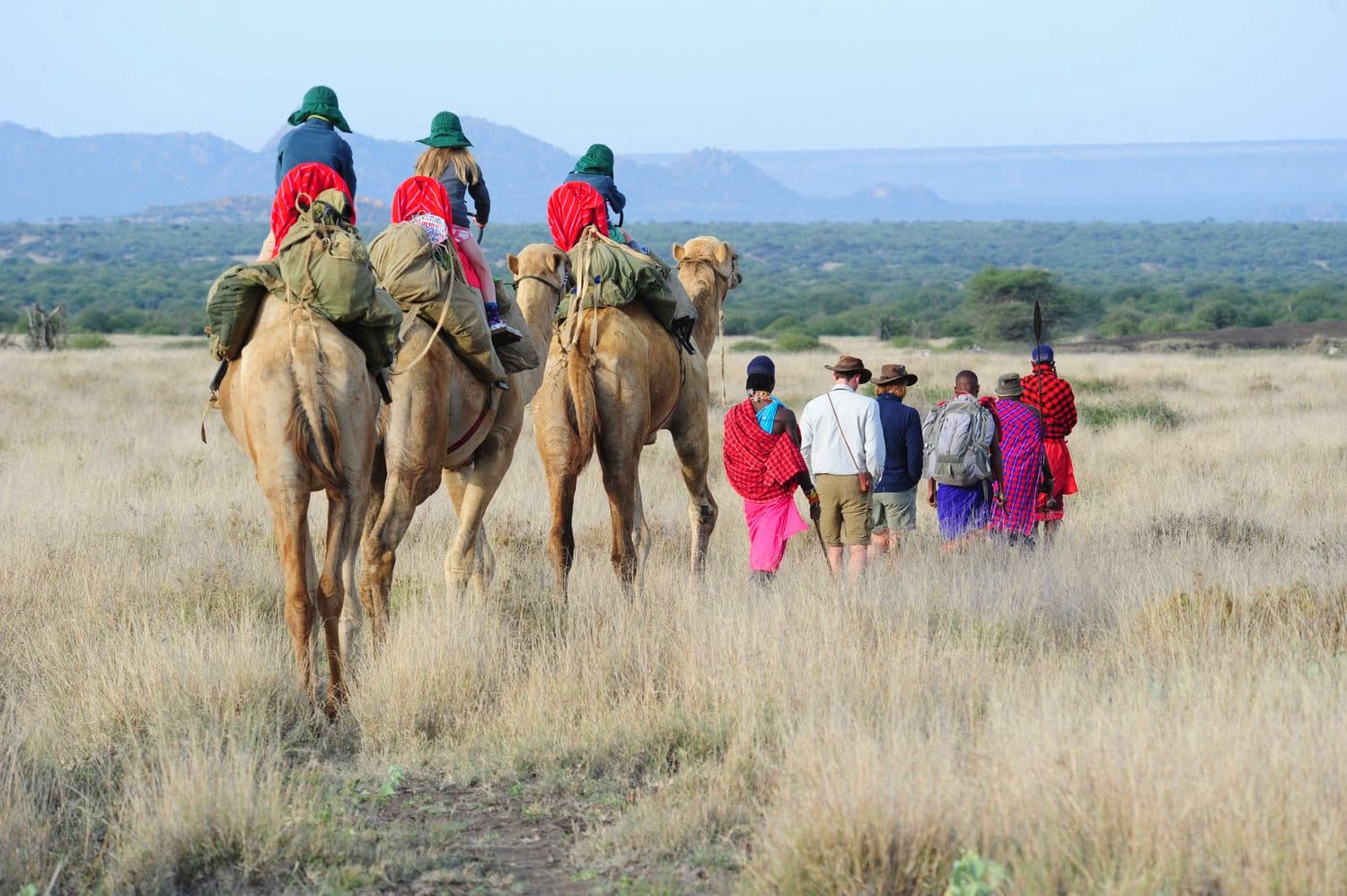 Camel & Walking Safaris