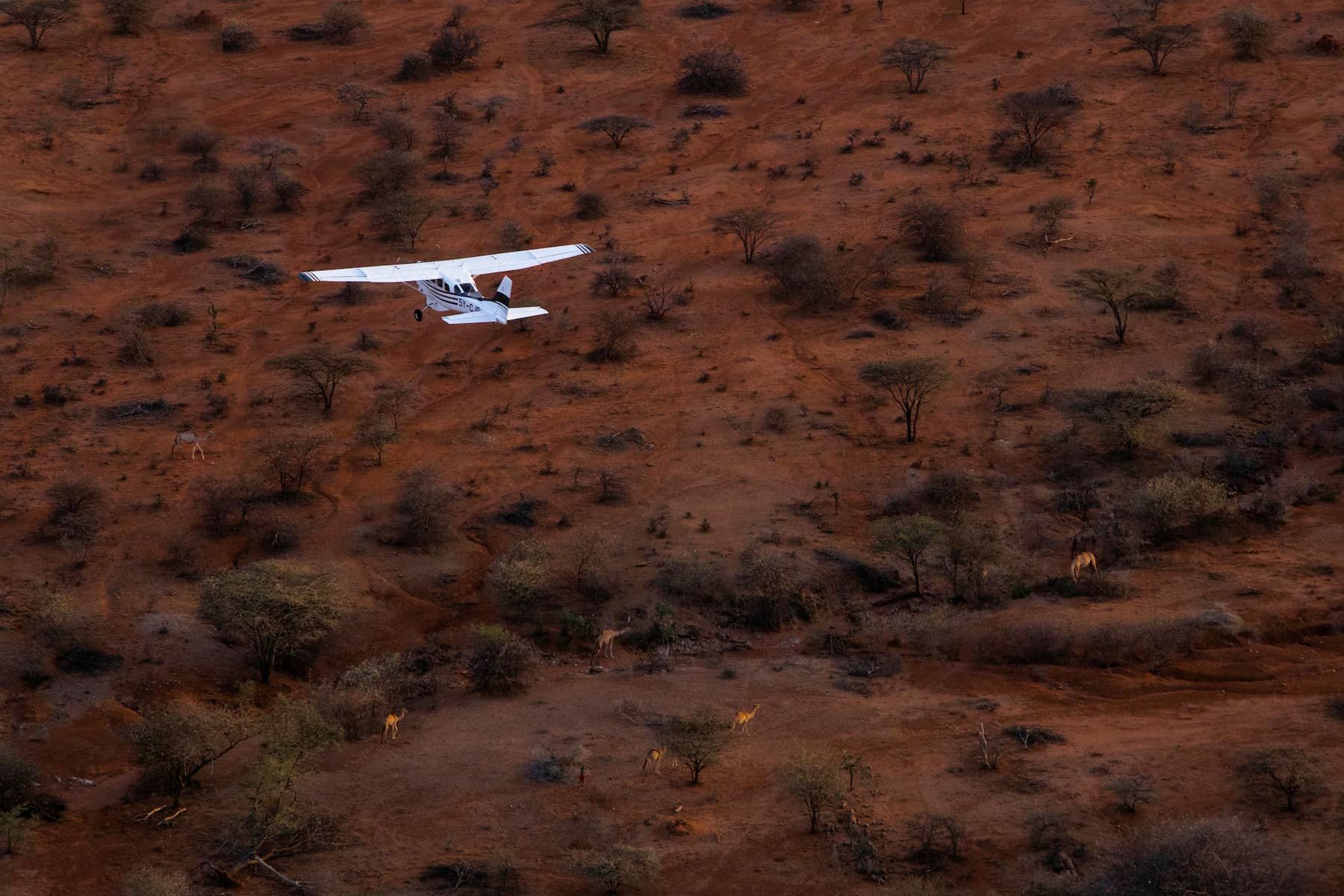 Scenic Fixed-Wing Flights — A Breathtaking Safari from the Skies