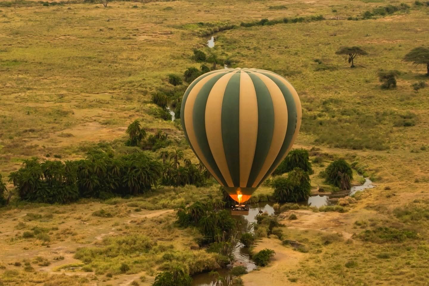 Hot-air balloon safari
