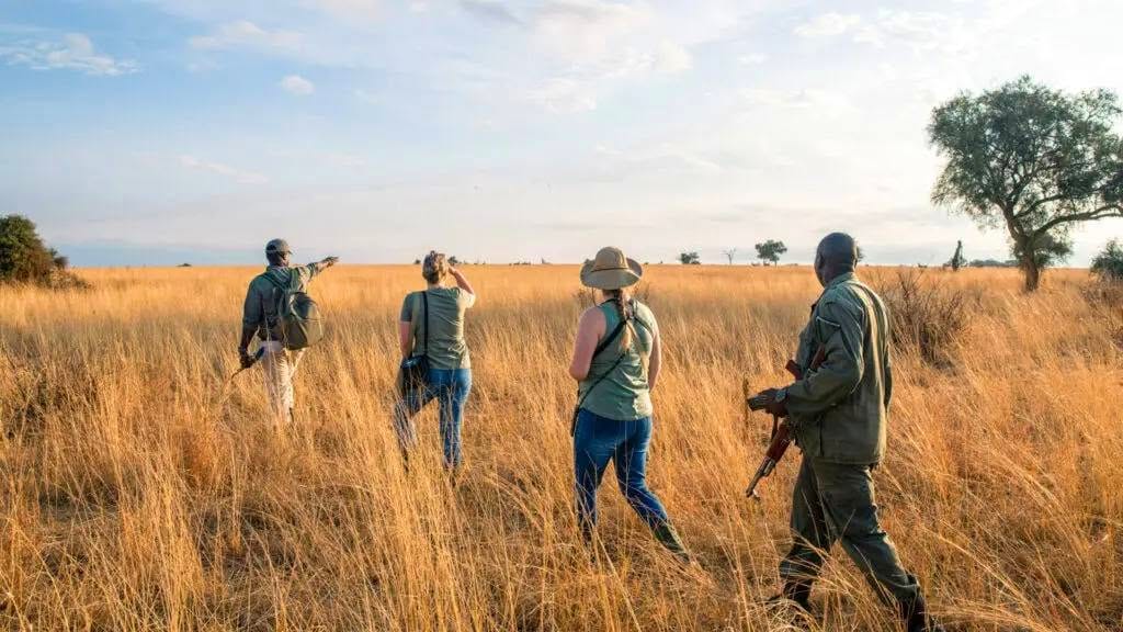 Walking safari