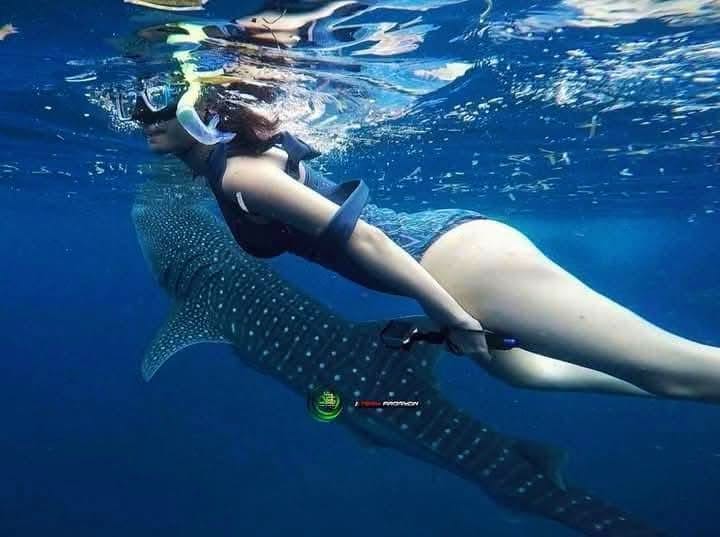 Snorkeling — A Vibrant Underwater Safari
