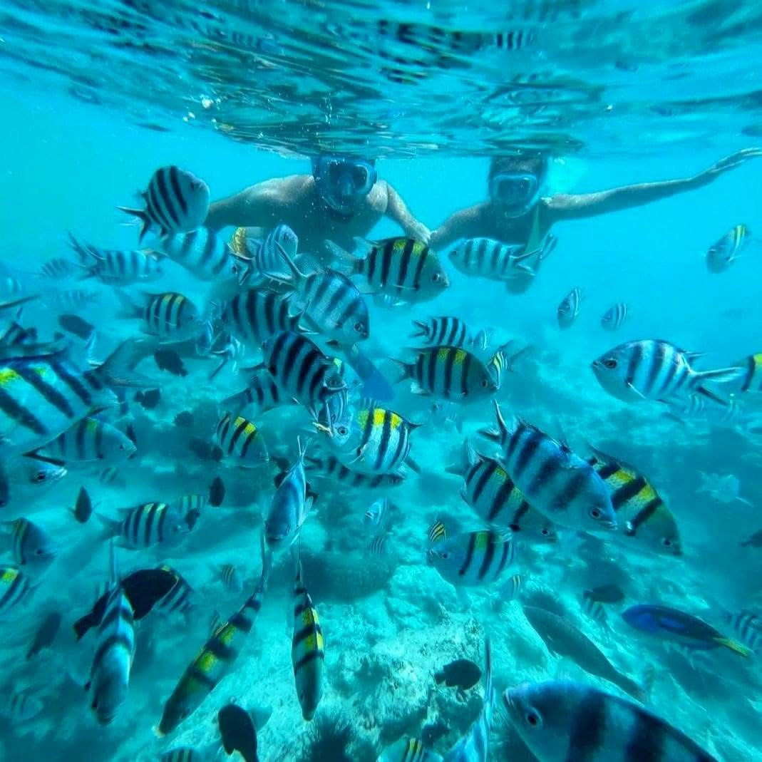 Snorkeling — A Vibrant Underwater Safari