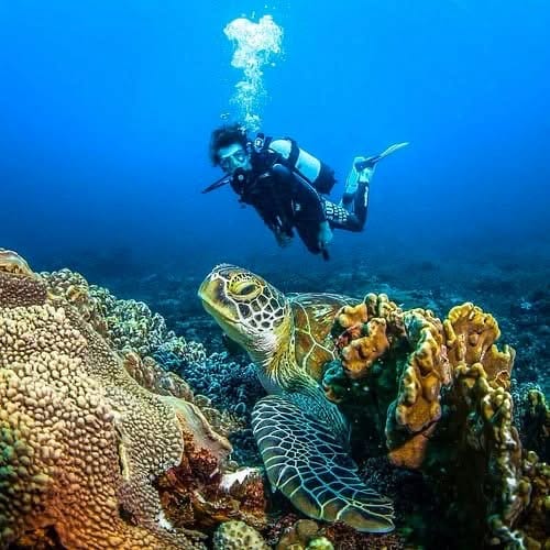 Snorkeling — A Vibrant Underwater Safari