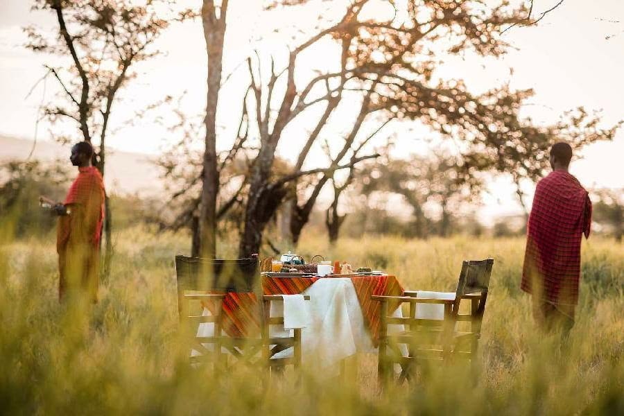 Bush dining