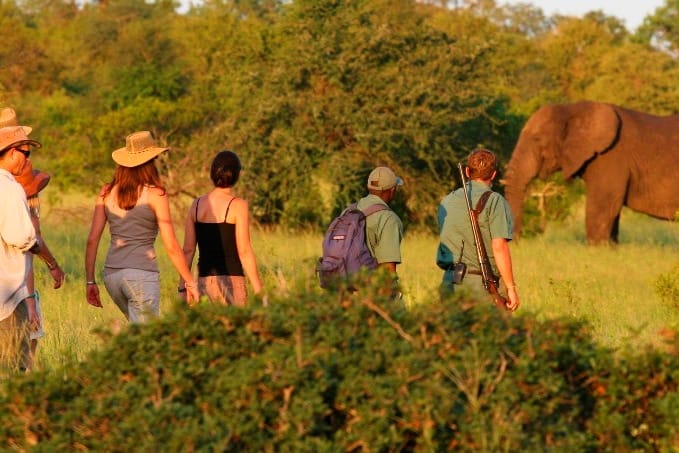 Guided nature walks