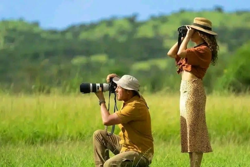 Photography safaris