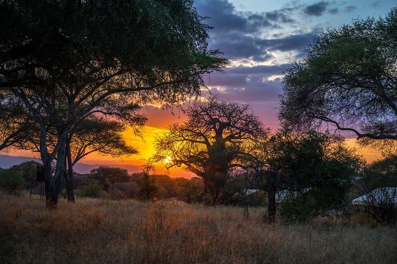 Scenery of Tarangire