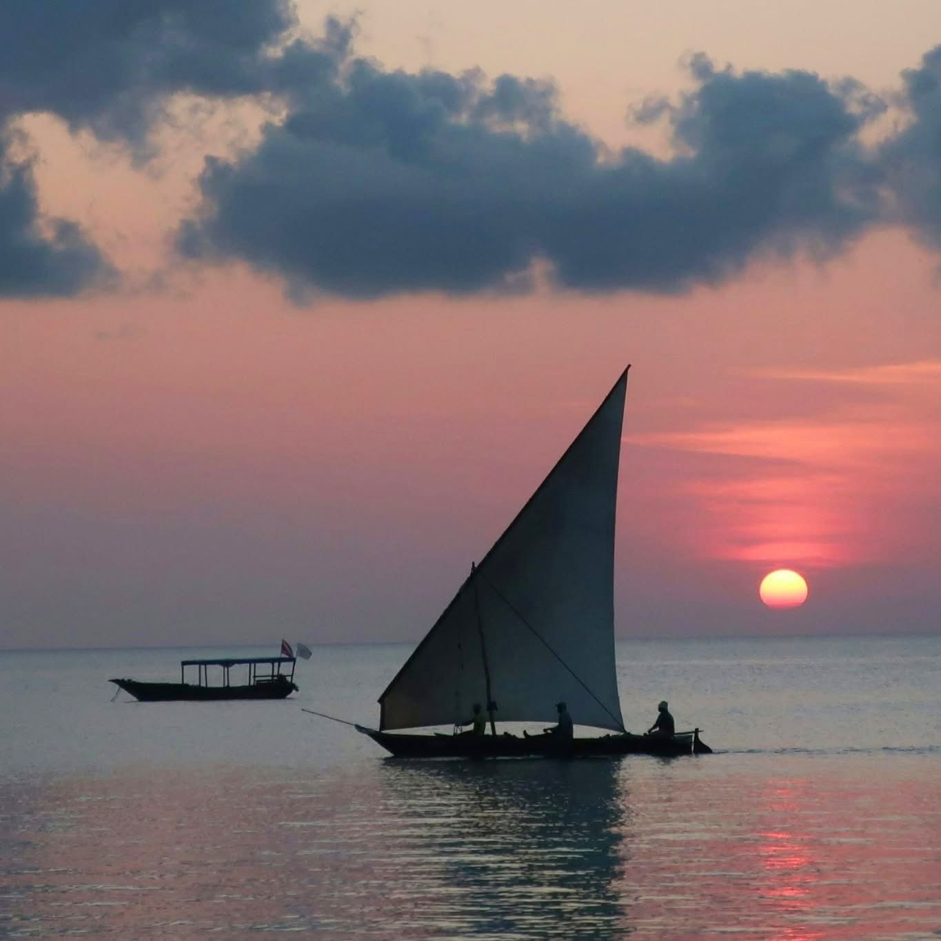 Traditional Dhow Cruises — A Timeless Sailing Adventure