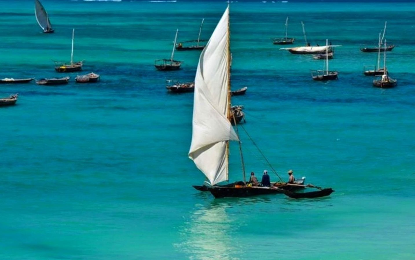 Traditional Dhow Cruises — A Timeless Sailing Adventure