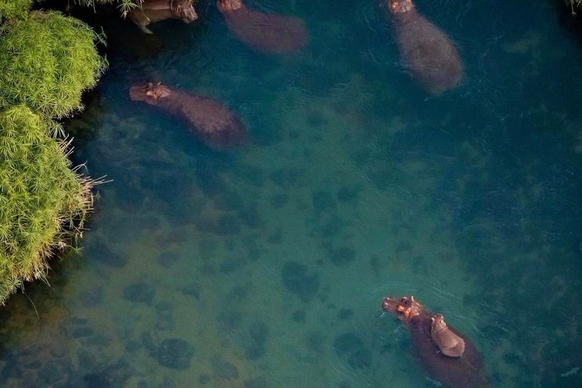 Mzima Springs visit