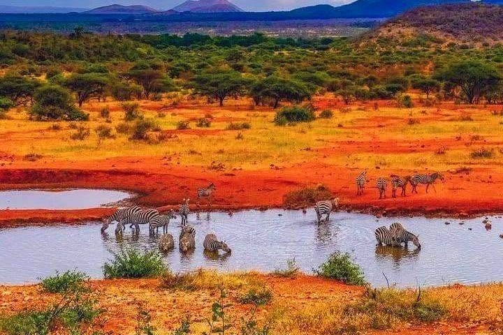 Wild scenery