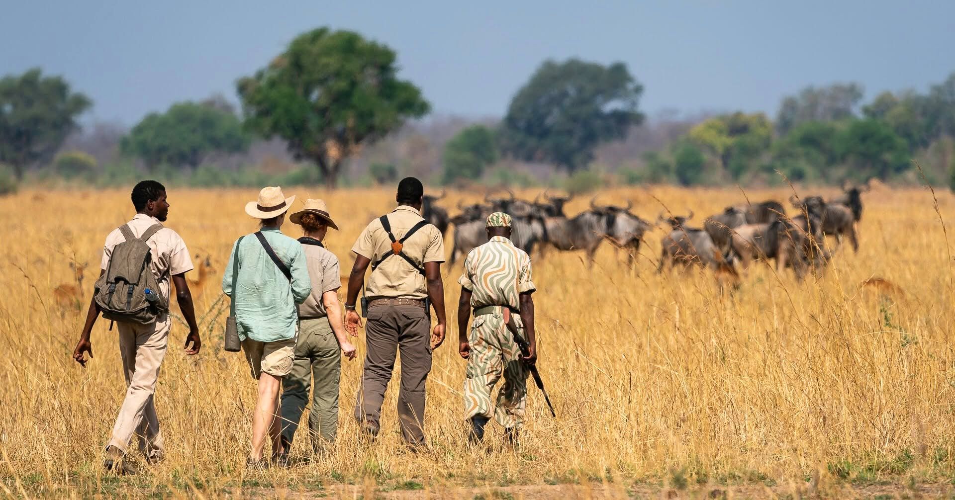 Guided Walking Safaris — A Thrilling Safari on Foot