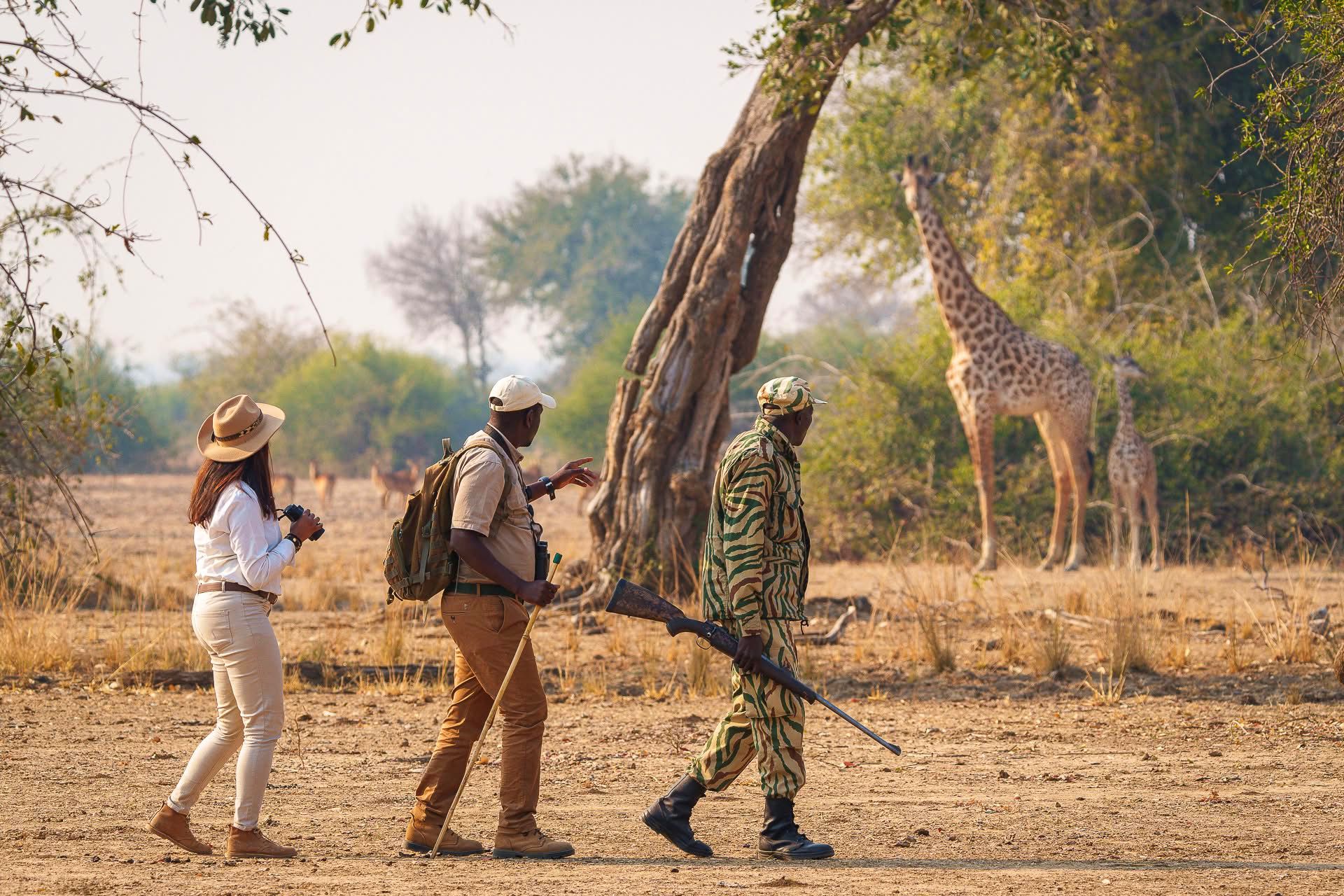 Guided Walking Safaris