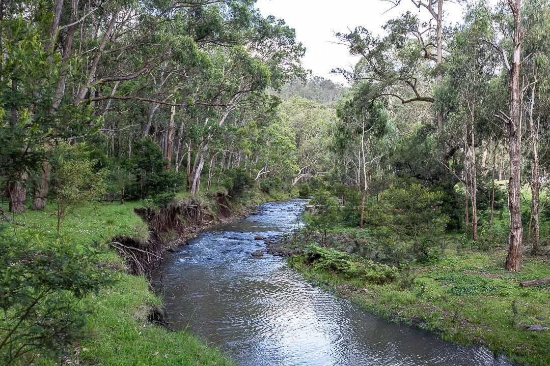 Wild Fishing — A Thrilling Aquatic Safari