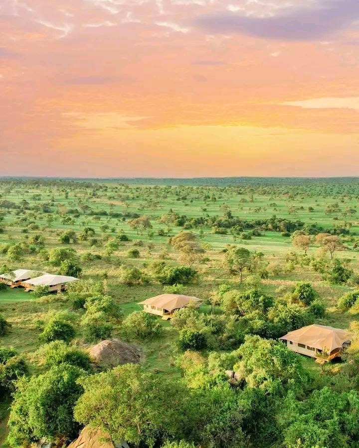 11 Days / 10 Nights Tanzania-Kenya Great Migration Luxury Safari