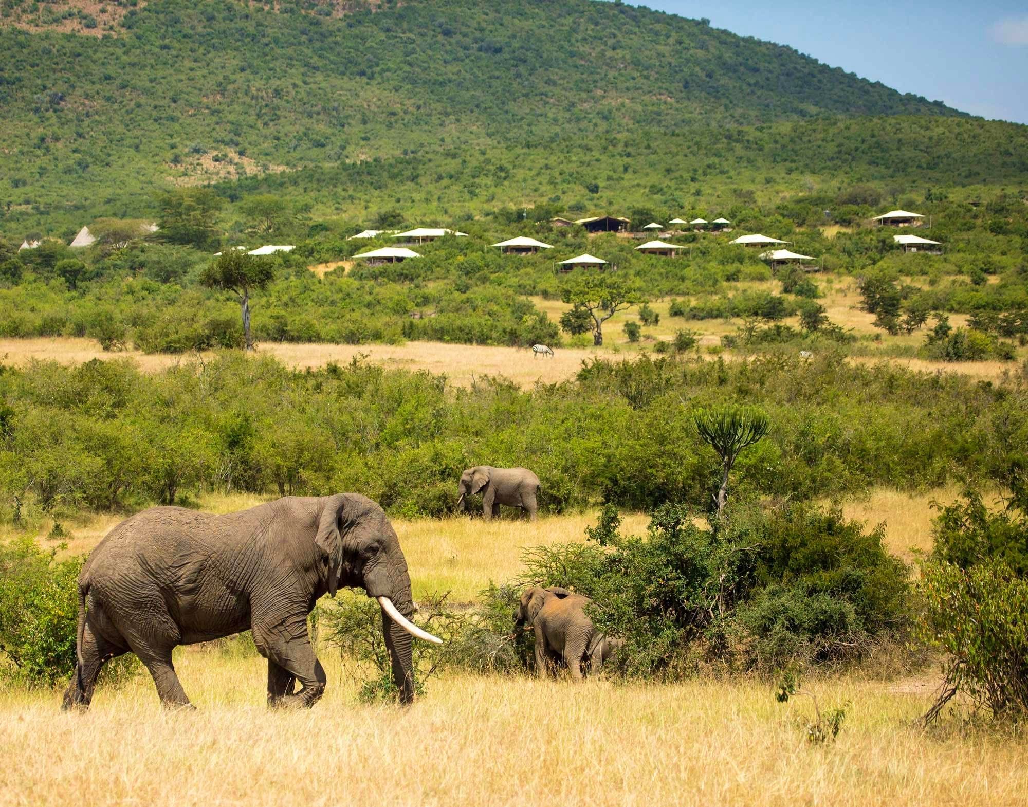 11 Days / 10 Nights Tanzania-Kenya Great Migration Luxury Safari