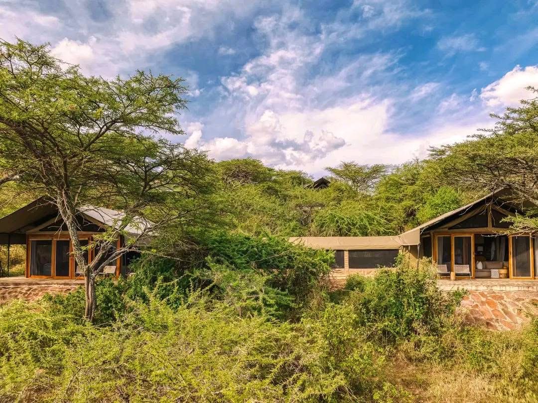 The Best of Tanzania’s Trifecta of Parks Luxury Safari 9 Days/8 Nights
