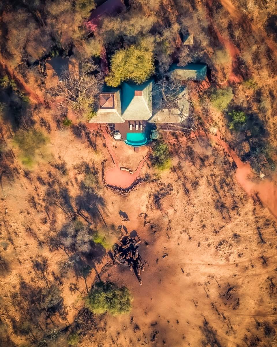 The Best of Tanzania’s Trifecta of Parks Luxury Safari 9 Days/8 Nights