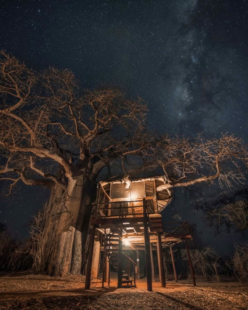 The Best of Tanzania’s Trifecta of Parks Luxury Safari 9 Days/8 Nights