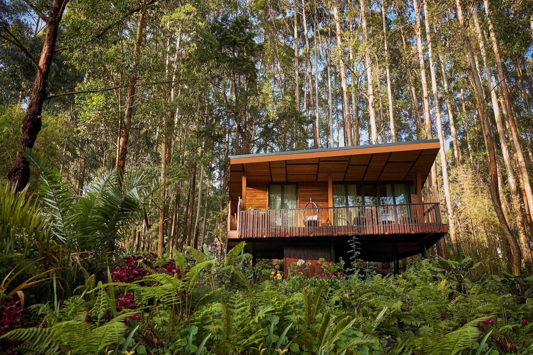 3 Days / 2 Nights Mountain Gorilla Trekking Safari In Rwanda