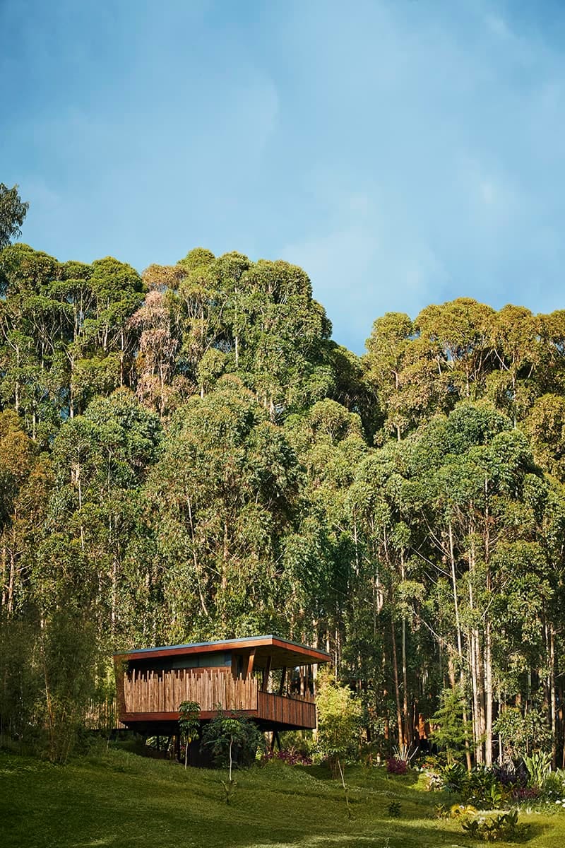 3 Days / 2 Nights Mountain Gorilla Trekking Safari In Rwanda