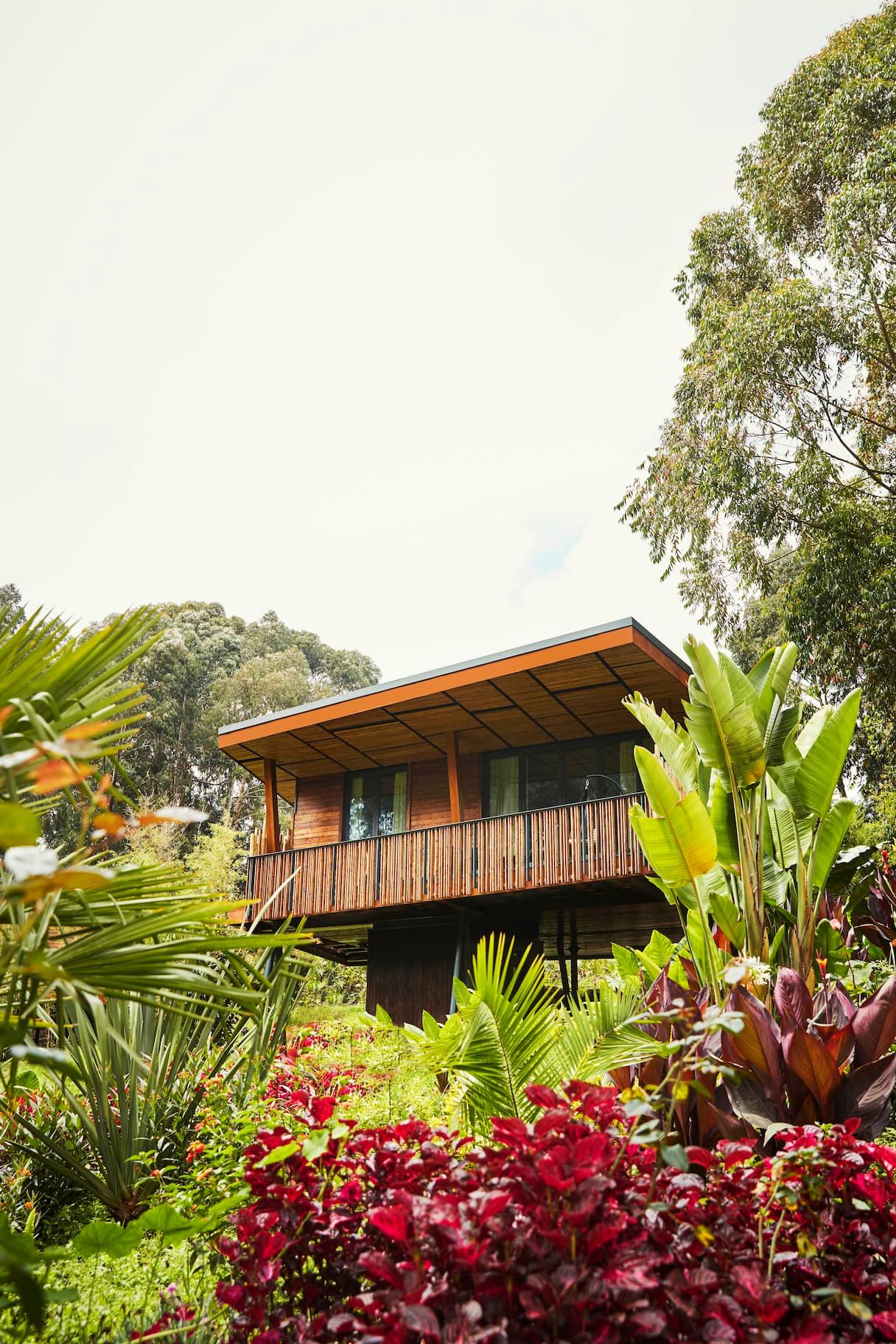 3 Days / 2 Nights Mountain Gorilla Trekking Safari In Rwanda