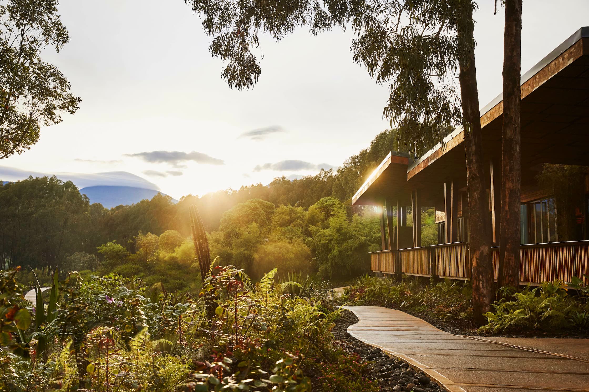 3 Days / 2 Nights Mountain Gorilla Trekking Safari In Rwanda