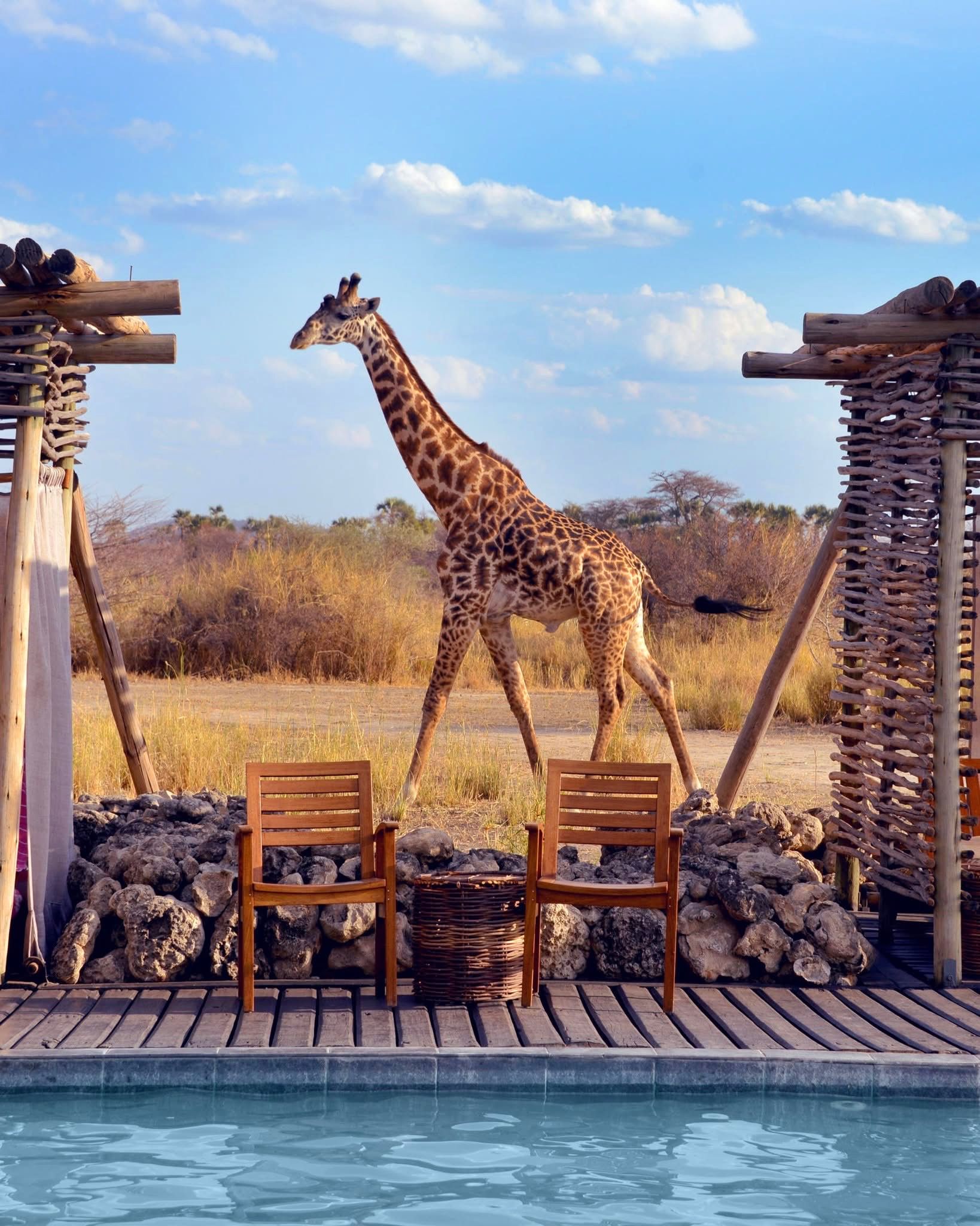 10 Days / 9 Nights Tanzania Luxury Safari