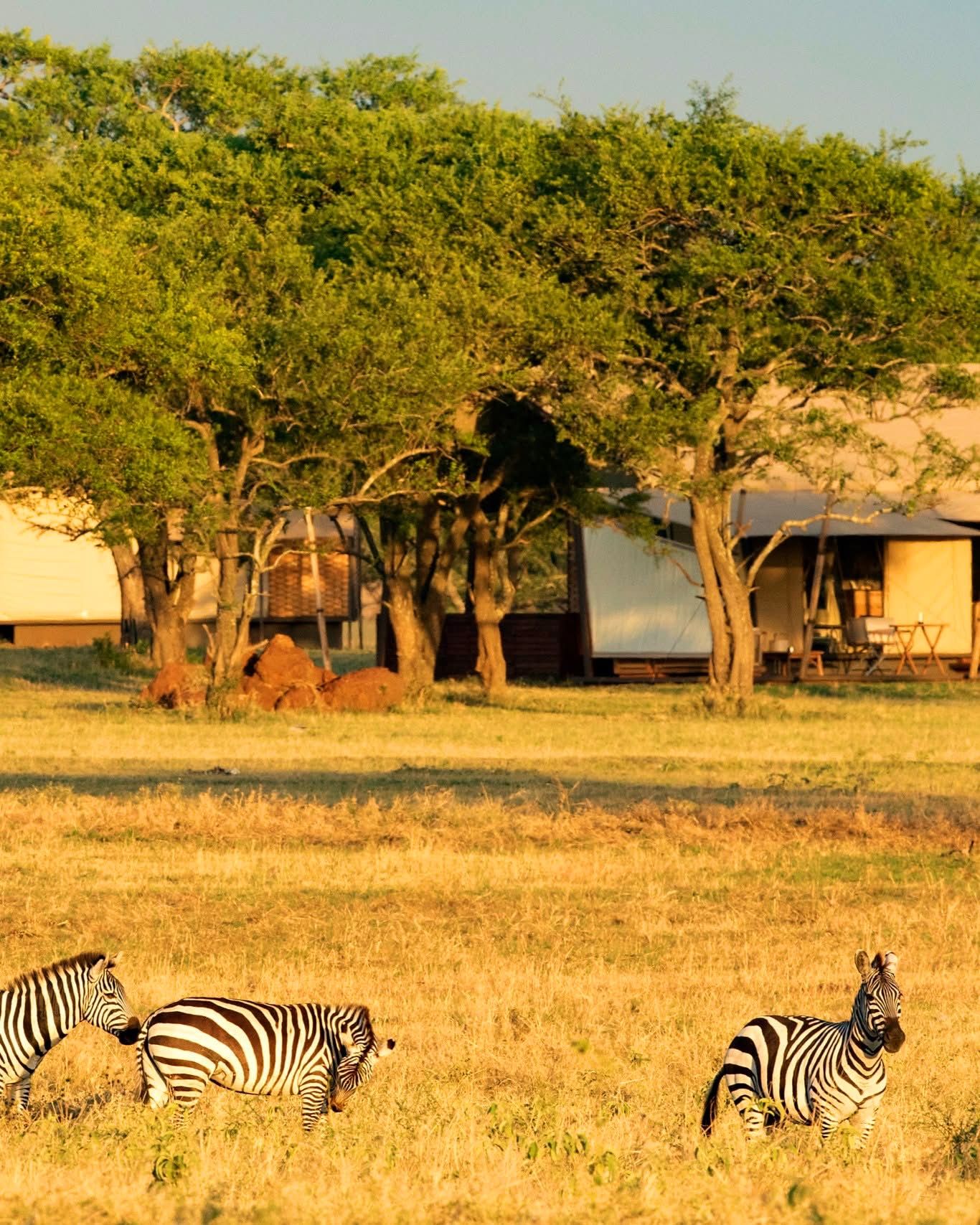 10 Days / 9 Nights Tanzania Luxury Safari