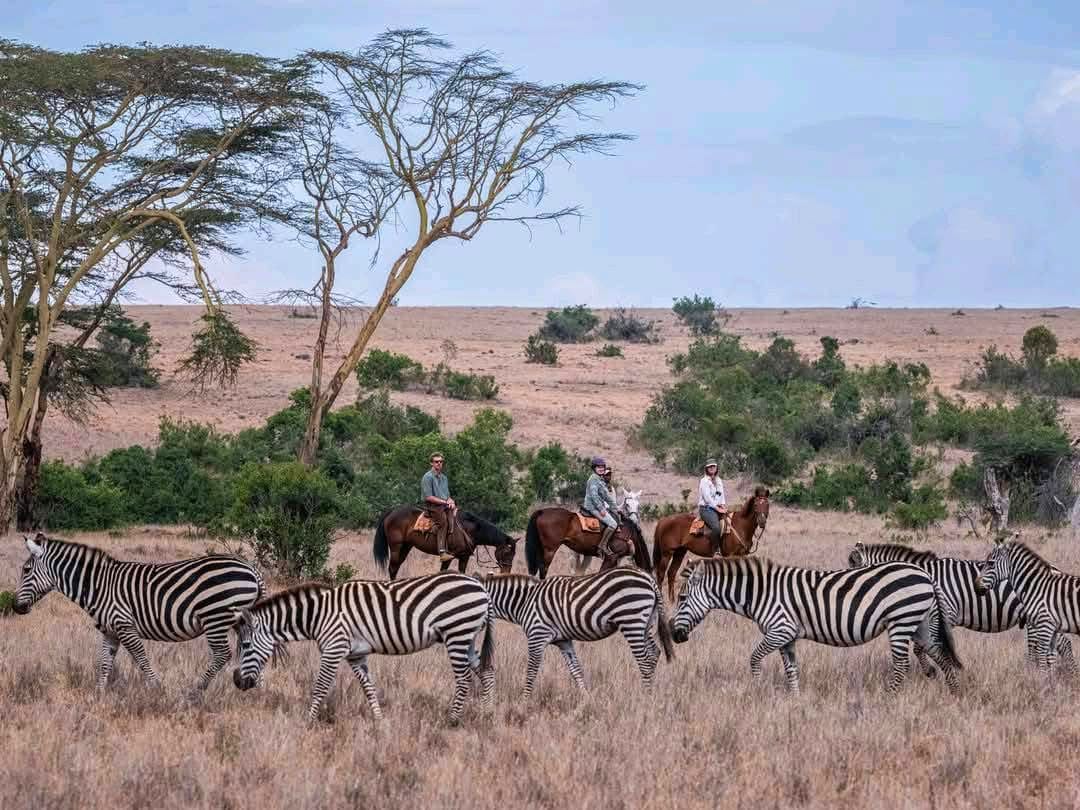 Mara to Serengeti