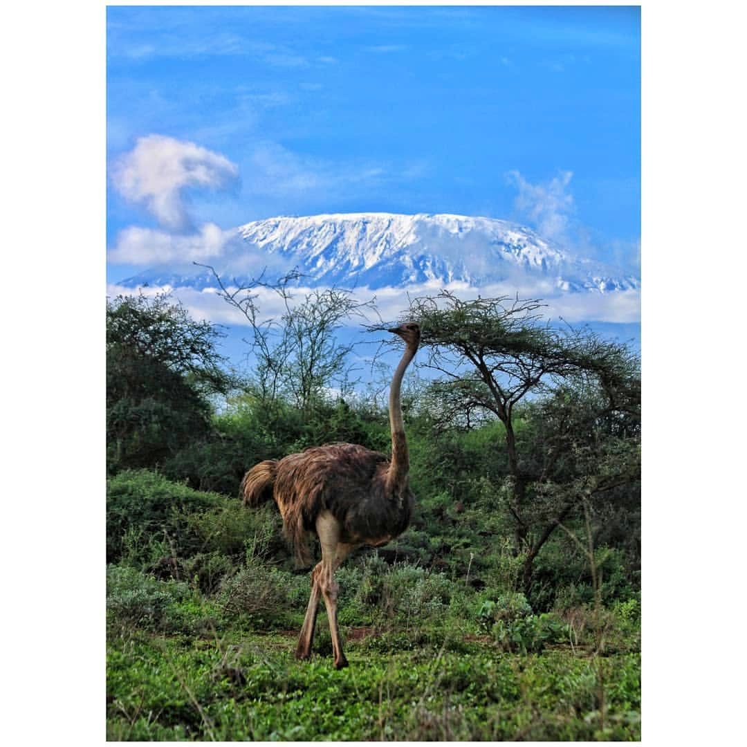 Birdwatching & Photography