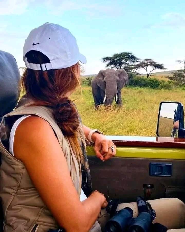 Photography safaris